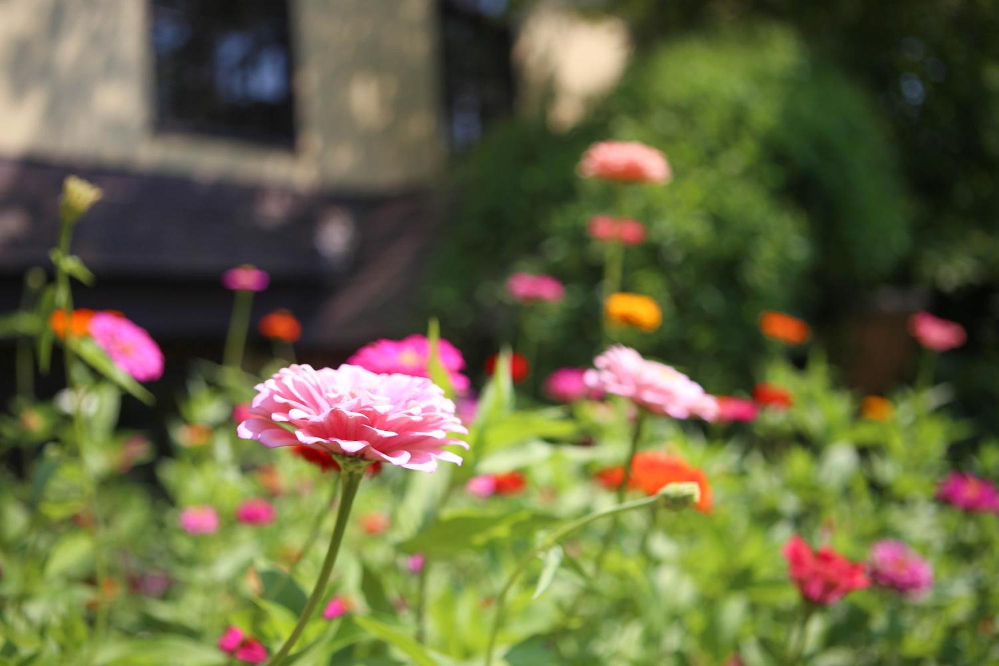 Settlers Inn Hawley ภายนอก รูปภาพ